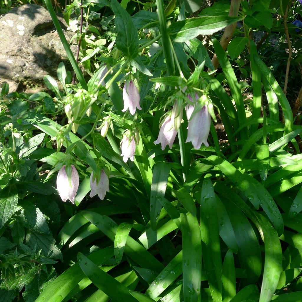 KG-L1090617.jpg