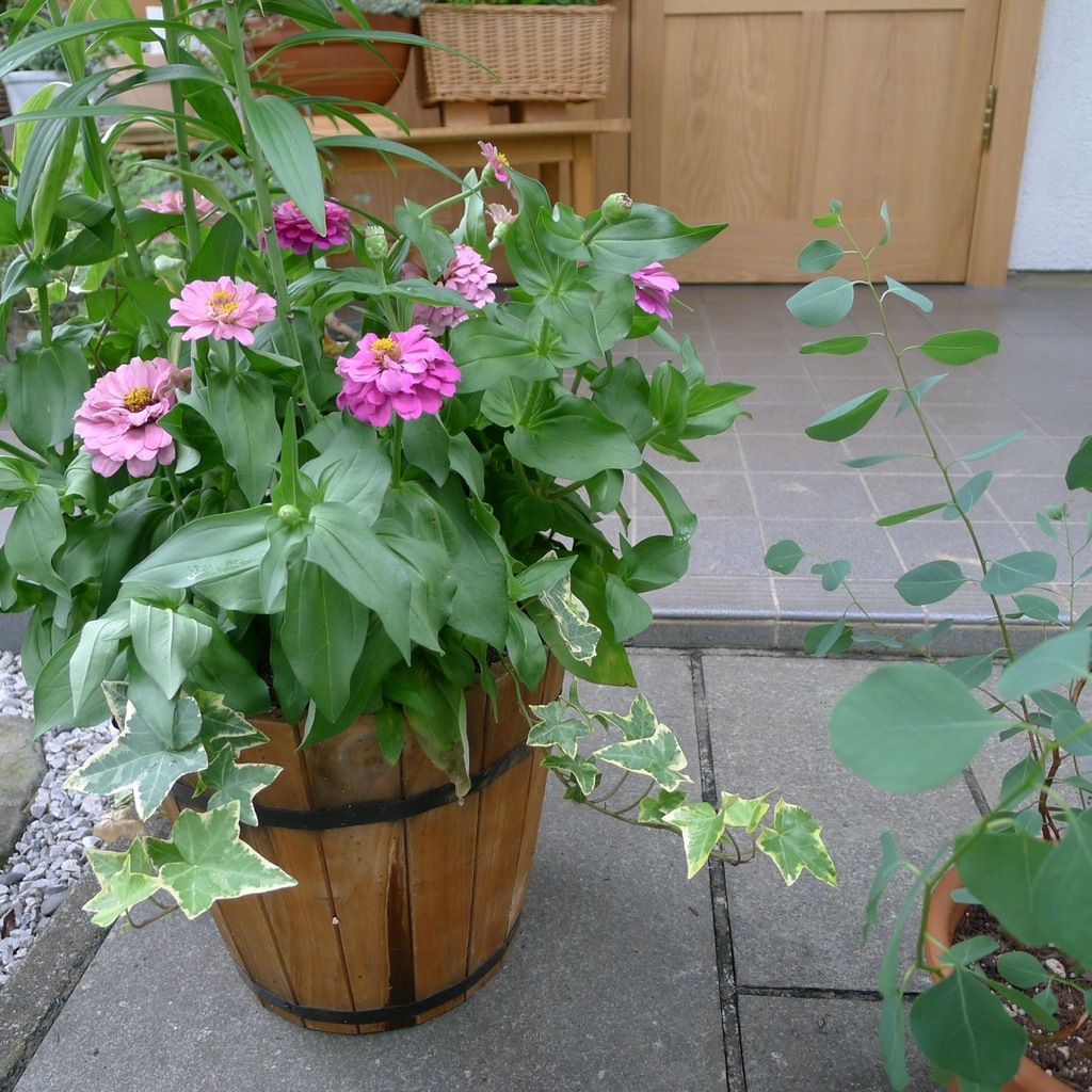 KG-L1090739.jpg